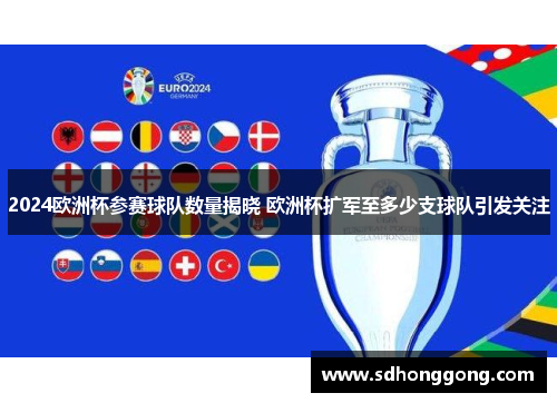 2024欧洲杯参赛球队数量揭晓 欧洲杯扩军至多少支球队引发关注