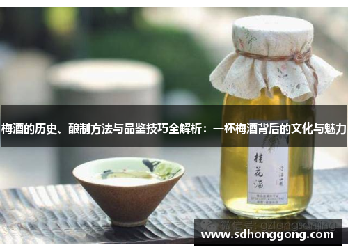 梅酒的历史、酿制方法与品鉴技巧全解析：一杯梅酒背后的文化与魅力