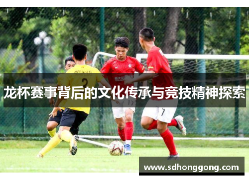 龙杯赛事背后的文化传承与竞技精神探索