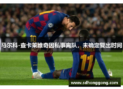 马尔科-查卡莱维奇因私事离队，未确定复出时间