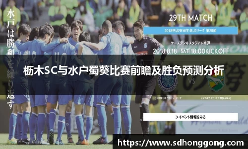 枥木SC与水户蜀葵比赛前瞻及胜负预测分析