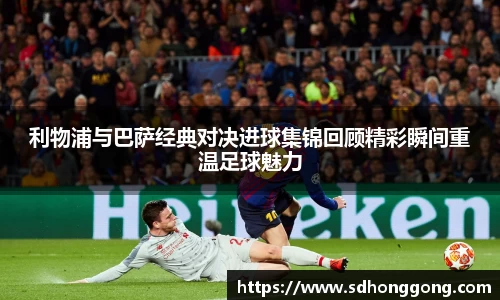 zoty中欧官方网站