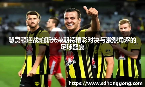 zoty中欧官方网站