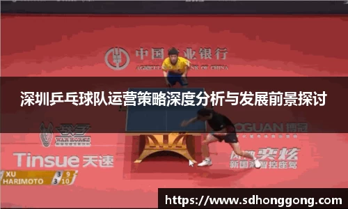 深圳乒乓球队运营策略深度分析与发展前景探讨