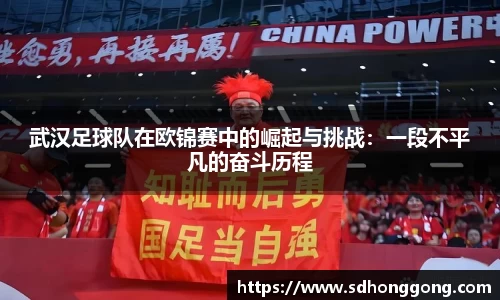 武汉足球队在欧锦赛中的崛起与挑战:一段不平凡的奋斗历程
