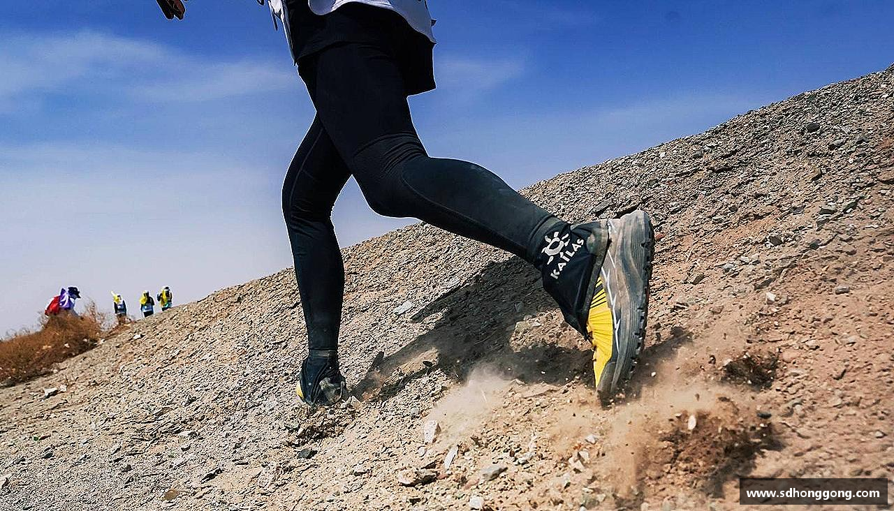 精彩瞬间，尽在体育